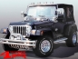 Preview: Wrap Around Bug Shield Acrylic Smoke Wrangler TJ 97-06