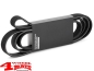 Preview: Serpentine Belt CJ 81-86 with 4,2 L without AC with/without Power Steering