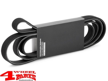 Serpentine Belt CJ 81-86 with 4,2 L without AC with/without Power Steering