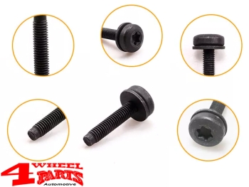 Hardtop Liftgate Hinge + Retainer Screw Kit Wrangler year 97-24