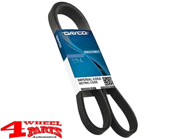 Serpentine Belt CJ 81-82 with 4,2 L with AC with Power Steering